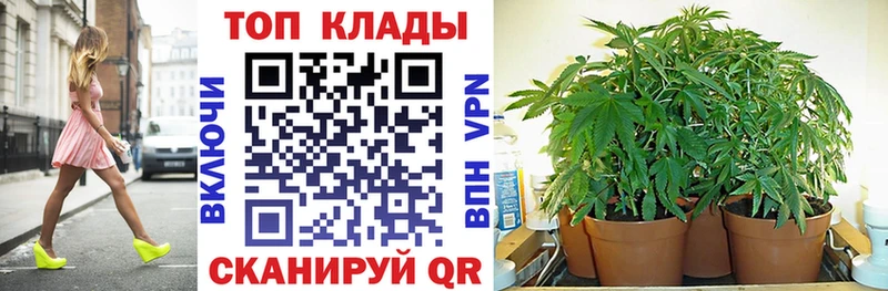 Купить закладку АМФ  Меф  А ПВП  Канабис  ГАШИШ  Кокаин  Дорогобуж