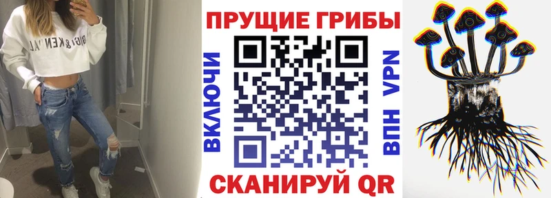 Купить закладки  Дорогобуж  Галлюциногенные грибы мухоморы 